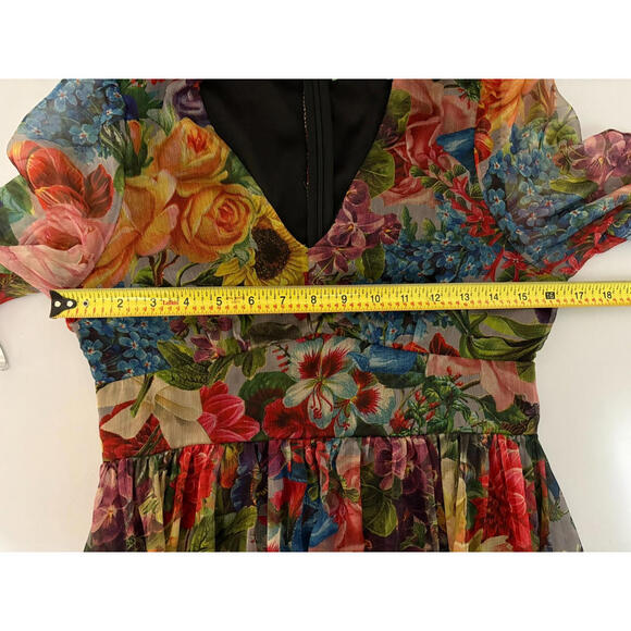 Toleen Dress Womens Medium Floral Babydoll Ruffles Boho Peasant Maxi Sheer L/S - Picture 9 of 9
